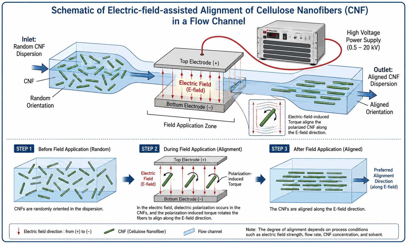 Schematic of Electric-field-assisted Alignment of Cellulose Nanofibers (CNF)in a Flow Channel