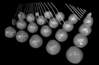 Micro-CT Scanners All Guide: Types, Sample Images & More