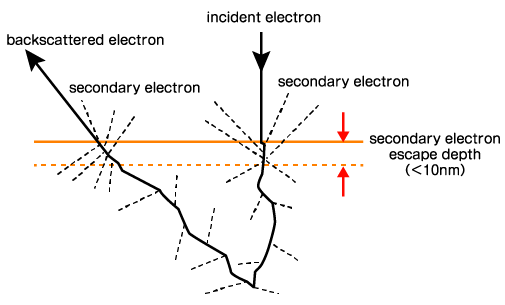 Secondary electron generation position by incident electron and backscattered electron