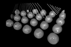 Sample image of 3D X-ray BGA | Matsusada Precision