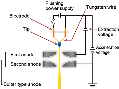 Cold Field Emission Gun (Cold FEG) - Basic knowledge of scanning electron microscopy (SEM)
