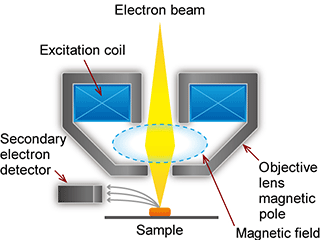 out-lens - Basic knowledge of scanning electron microscopy (SEM)