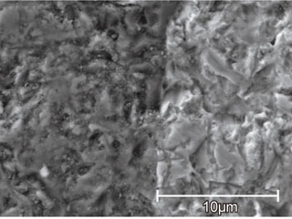 Sample: black ore - Basic knowledge of scanning electron microscopy (SEM)