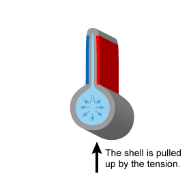 The shell is pulled up by the tension.