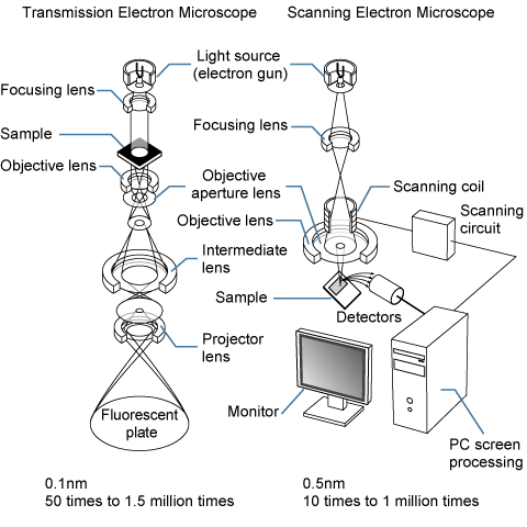 A diagram of TEM and SEM